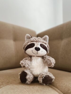 Osito Mapache